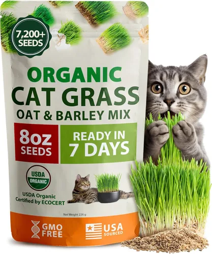 Miniatura 12 de HOME GROWN Mezcla de 3 semillas de hierba para gatos – Semillas de avena, alfalfa y hierba de gato sin OMG Hierba interior para gatos Verdes