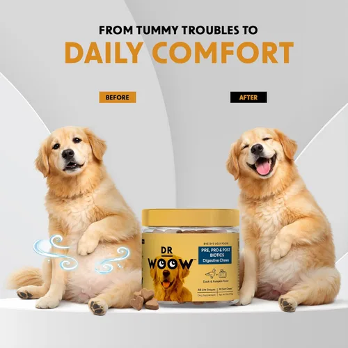 Miniatura 7 de Suplementos probióticos para perros masticables suaves (90 unidades) – Apoyo digestivo + equilibrio intestinal y apoyo de heces saludables