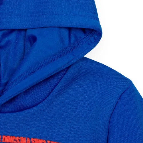 Miniatura 4 de DC Comics Justice League Superman Batman The Flash - Sudadera de forro polar con capucha para niños pequeños y grandes