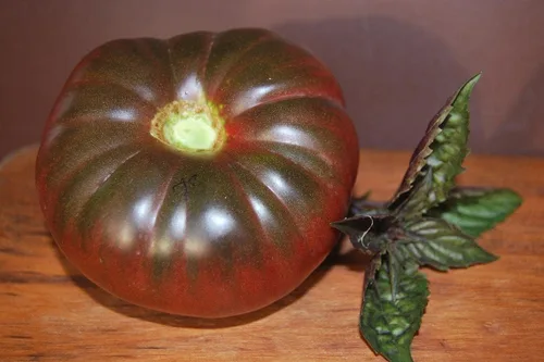 Miniatura 2 de Semillas de tomate elefante negro - Vegetal de reliquia - Sin OMG