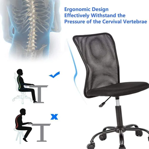 Silla de oficina ergonómica de malla bonita, soporte lumbar sin brazos, elegante y moderna silla de escritorio para PC, color negro, con respaldo