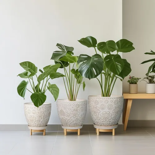 Miniatura 8 de MPotTo Maceta de 6.9 pulgadas con orificio de drenaje y platillo de cerámica para plantas de interior, maceta para orquídeas y suculentas