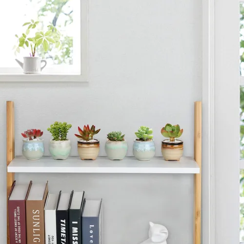 Miniatura 2 de T4U Juego de 6 macetas pequeñas de cerámica para suculentas con drenaje, mini para plantas, maceta de porcelana pequeña, macetas de plantas de aire