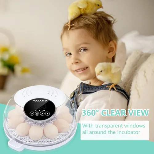 Miniatura 7 de Incubadora de huevos para incubar pollos, capacidad para 12 huevos, girador automático de huevos con temperatura, pantalla de humedad, vela