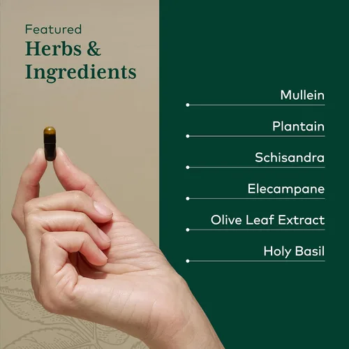 Miniatura 4 de GAIA HERBS PRO Fórmula diaria de pulmón, apoyo para la salud respiratoria* - Suplemento inmunológico con hoja de gordolobo, raíz de malvavisco y más