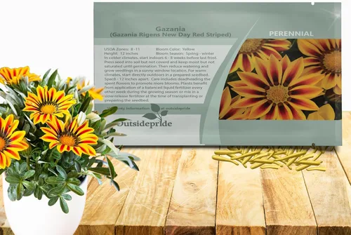 Outsidepride New Day - Semillas de Gazania a rayas rojas para plantar, 25 piezas de semillas perennes, de bajo mantenimiento, tolerantes a la sequía