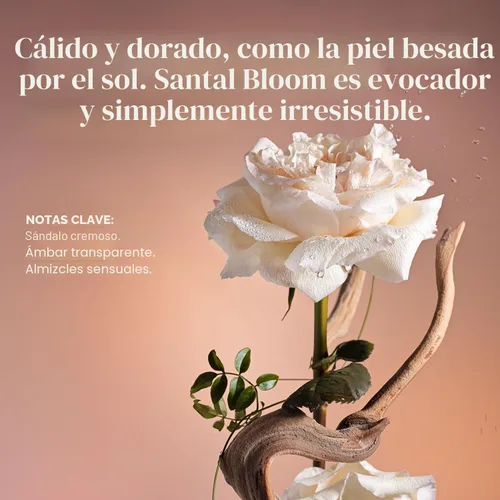 Miniatura 7 de Saltair Desodorante en suero Santal Bloom, paquete de 2. Fórmula AHA al 5%. Desodorante de ácido láctico y ácido mandélico. Control de olores sin