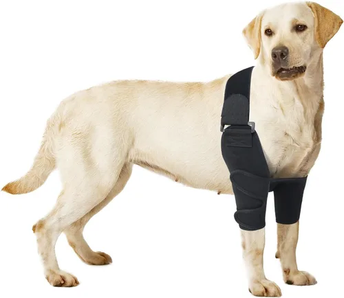 Miniatura 7 de Dog Elbow Protector Elbow Pads, Dog Joint Recovery Sleeve, Adjustable Dog Elbow Pads Dog Leg Wound Care, for Hip Dysplasia, Front Leg Calluses