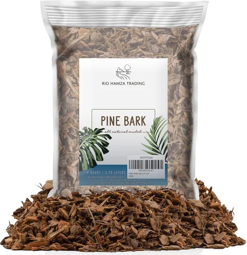 Miniatura 12 de Pepitas de mantillo de corteza de pino 100 % natural (8 cuartos de galón), pequeños chips de mantillo para jardinería en contenedores
