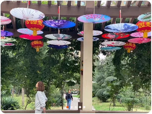 Miniatura 6 de Bestage Sombrilla de seda de bambú hecha a mano de 33 pulgadas con aceite de seda de bambú para arte chino japonés clásico, sombrilla de baile