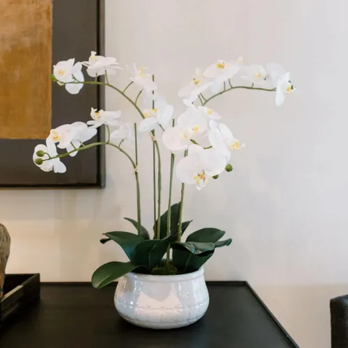 Miniatura 10 de CG Hunter Planta de orquídea sintética con suculentas, soporte de exhibición de flores artificiales de alta calidad para interiores de 23 pulgadas