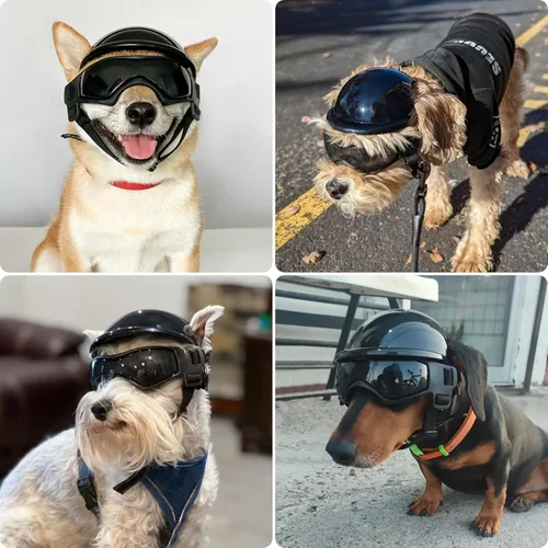 Miniatura 2 de Gafas para perros pequeños con casco, 2 lentes de sol para perros y casco de motocicleta para mascotas para razas pequeñas y medianas al aire libre
