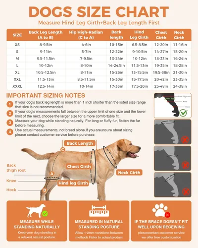 Miniatura 2 de Rodillera para perro – Soporte de pierna trasera para rótula luxante, ligamento desgarrado, soporte ajustable, envoltura eficaz y calor