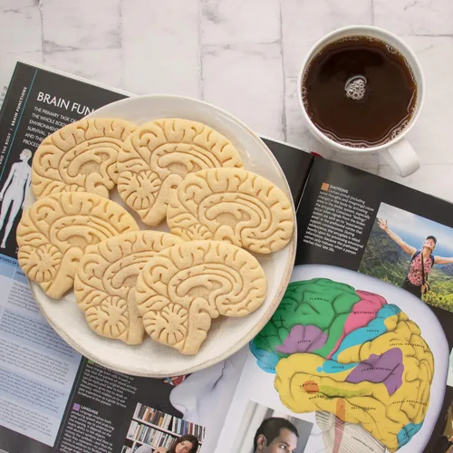 Miniatura 4 de Cortador de galletas anatómico Brain, 1 pieza - Bakerlogy