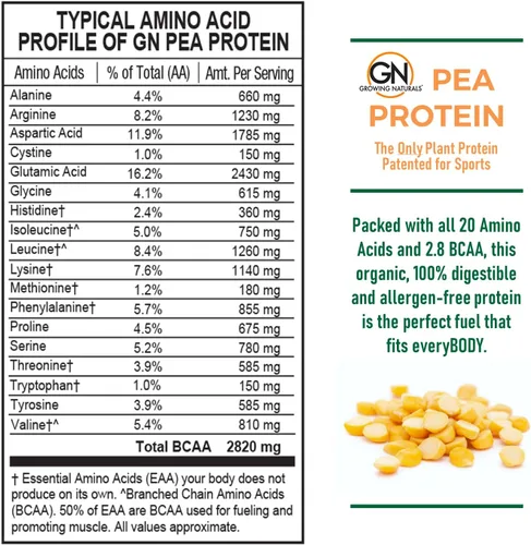Miniatura 3 de Growing Naturals Polvo de proteína de guisante crudo, proteína vegana a base de plantas, BCAA, baja en carbohidratos, baja en azúcar, original sin