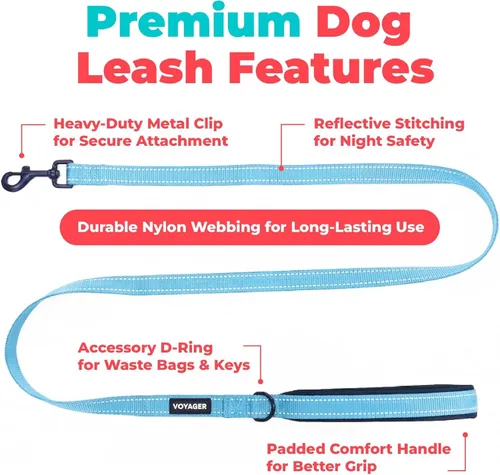 Miniatura 2 de Best Pet Supplies Correa reflectante Voyager para perros con mango de neopreno, para razas pequeñas, medianas y grandes, bonita y resistente