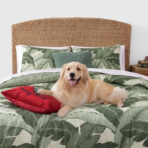 Miniatura 83 de Tommy Bahama - Juego de sábanas tamaño King, ropa de cama de percal 100% algodón con una sensación crujiente y fresca, sábanas con sábana bajera