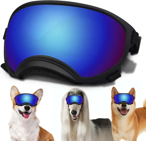 Miniatura 17 de Gafas de sol grandes para perros con correa ajustable, protección UV, a prueba de victorias, adecuadas para perros medianos y medianos