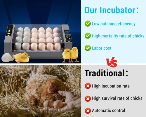 Miniatura 4 de Gpeng Incubadora de huevos, incubadora de 24 huevos con pantalla digital, giro automático de huevos, control automático de temperatura, para incubar