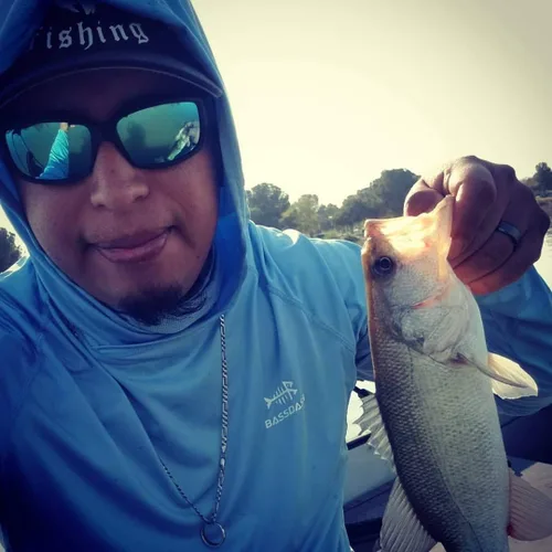 Miniatura 5 de BASSDASH UPF 50+ - Camisa de pesca de manga larga para hombre con máscara UV cuello polaina sudadera con capucha