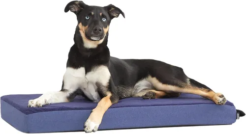 Miniatura 12 de Barkbox Cama ortopédica para perros Cómodo colchón de espuma viscoelástica para alivio de las articulaciones Soporte de cabeza y cuello Espresso
