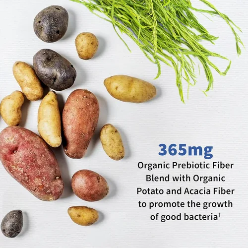 Miniatura 4 de Garden of Life Probióticos para hombres Formulados por Dr. 50 mil millones de UFC, 15 probióticos y probióticos formulados por el Dr. Organic Kids+