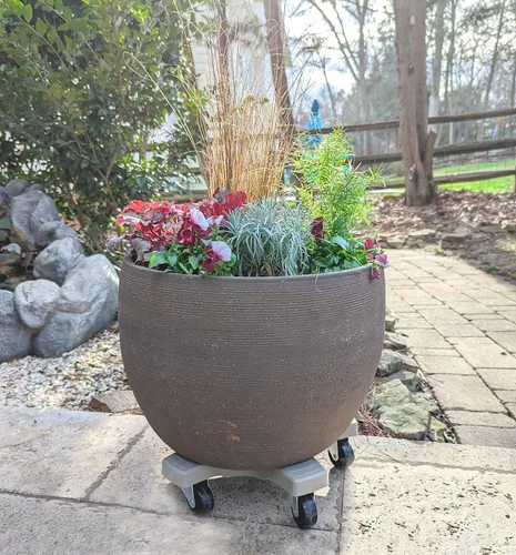 Miniatura 2 de Bosmere Soporte para Plantas de 16 pulgadas - Soporte Rodante para Plantas de Servicio Pesado con Ruedas con Seguro, Capacidad de 500 libras