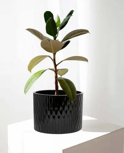 Miniatura 6 de LaDoVita Maceta de cerámica con soporte, maceta de 10 pulgadas con estante de madera, macetas redondas modernas para interiores con soporte