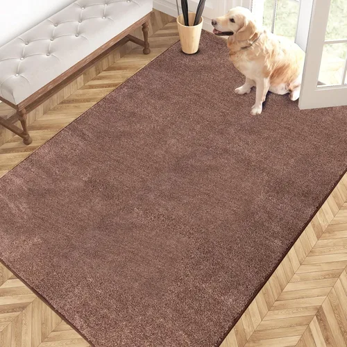 PURRUGS Alfombra de área de fácil cuidado de 4 x 6 pies, antideslizante, lavable a máquina, tapete para puerta de perro, resistente a las manchas,