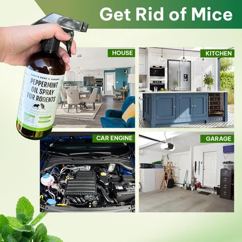 Miniatura 3 de Kate Naturals Spray de aceite de menta para roedores, ratones, murciélagos, ratas, motores de automóviles, ratones