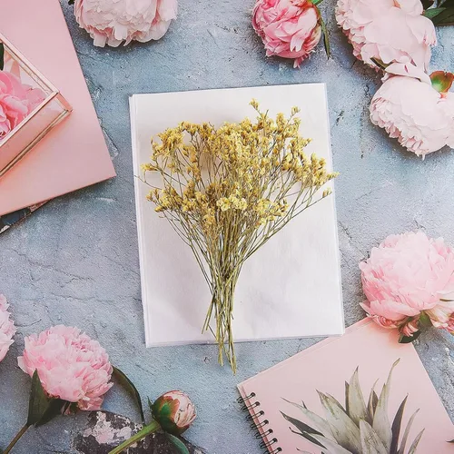 Miniatura 7 de 50 piezas de recambio de prensa de flores A5, recambio de papel secante reutilizable para prensa de flores, papel de forro de papel de flores