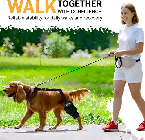 Miniatura 5 de Rodillera para perro – Soporte ajustable para pierna trasera para desgarro de ACL, dolor en las articulaciones, artritis y recuperación de lesiones.
