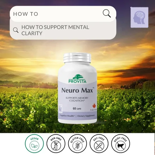 Miniatura 2 de PROVITA Neuro Max Suplemento de apoyo cognitivo Apoyo vegano para el nervio y la memoria Acetil L-carnitina, ginkgo biloba, melena de león
