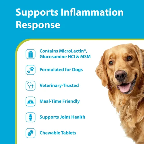 Miniatura 2 de PRN Pharmacal Duralactin Canine Joint Plus Soft Chews - Suplemento de salud articular para perros y cachorros - Apoyo de movilidad de mascotas - 60