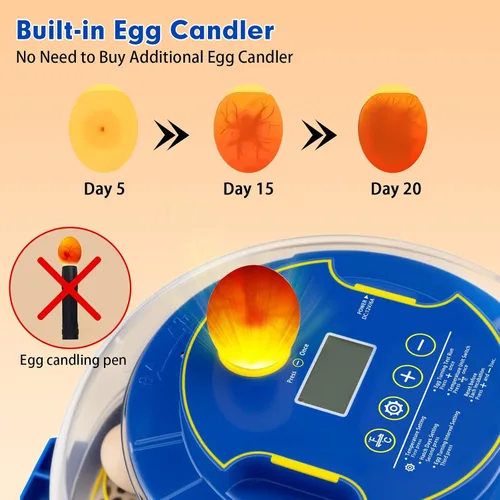 Miniatura 4 de Incubadora automática de 18 huevos con control de temperatura y humedad, incubadoras para incubar huevos, pollo, patos, ganso, paloma, codorniz