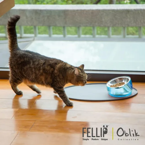 Miniatura 5 de Felli Cuenco de comida para gatos con bigote oblicuo para mascotas, plato elevado de acero inoxidable poco profundo, diseño de mascotas, alimentador