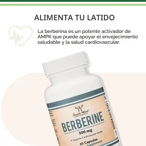 Miniatura 6 de Suplemento de berberina de 500 mg, alta pureza 97% HCl, 60 cápsulas (probado por terceros, sin OMG, sin gluten, apto para veganos) Activador AMPK