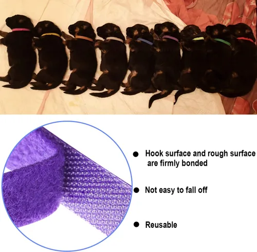 Miniatura 4 de 15 Piezas Collares de Parto para Cachorros Collares para Mascotas Recién Nacidas Bandas de Identificación Ajustables Suaves de Doble Cara Collares
