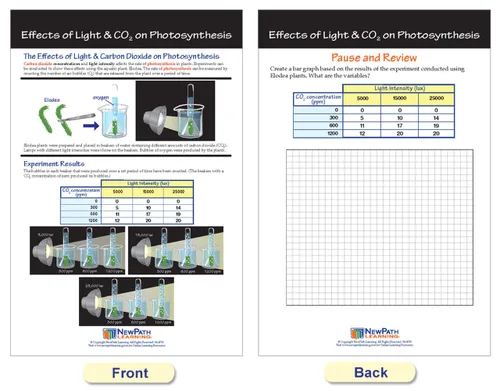 Miniatura 7 de NewPath Learning Tablón de anuncios de fotosíntesis y respiración, juego de 6 tablones de anuncios laminados, de doble cara, a todo color, 12 x 18