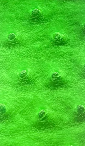 Miniatura 9 de Luvfabrics The Yard - Tela impermeable de vinilo sintético de grado marino, resistente a los rayos UV, color verde cazador