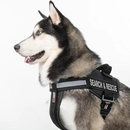 Miniatura 5 de Dogline Unimax - Arnés multiusos para perros y 2 parches extraíbles de búsqueda y rescate, pequeño, color negro