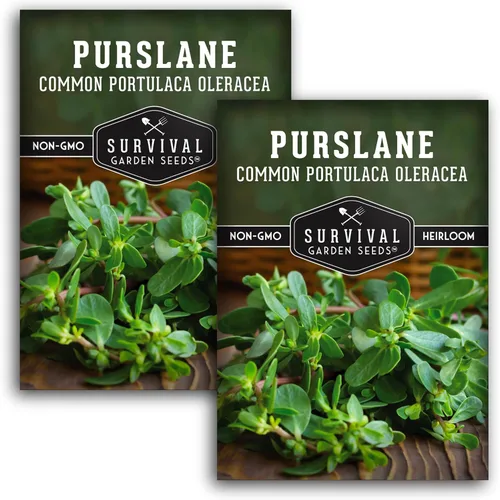 Miniatura 10 de Semillas de verdolaga para plantar, verde comestible Portulaca Oleracea Verdolagas, semillas de vegetales sin OMG para jardín en casa, semillas
