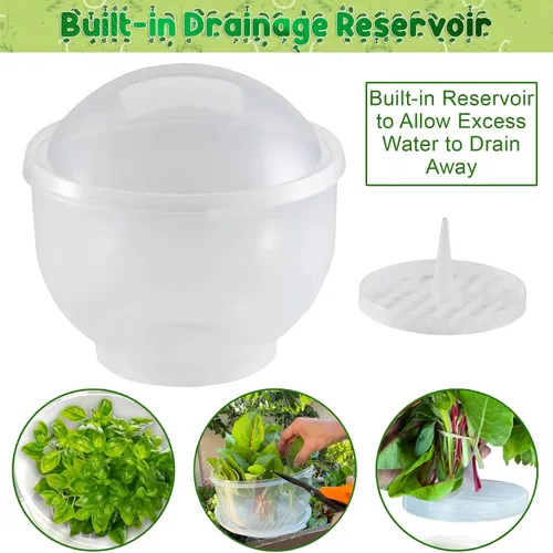 Miniatura 5 de Home-X Lechuga Keeper – Conservador de lechuga sin BPA para refrigerador para mantener ensaladas y verduras frescas – 7 x 8 pulgadas lechuga más