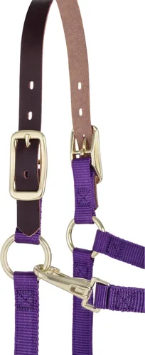 Miniatura 2 de Weaver Leather dogal para caballo ajustable con rotura de nailon, púrpura, para potrillo destetado/Pony