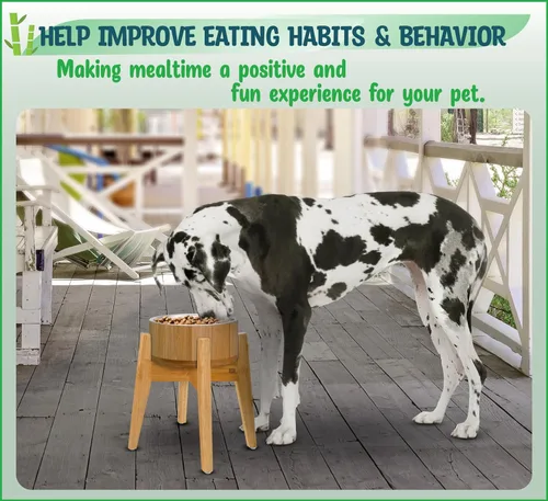 Miniatura 3 de Cuencos elevados para perros para razas grandes, soporte elevado de bambú (15 pulgadas de alto) con plato de acero inoxidable, adecuado