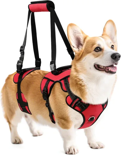 Miniatura 7 de Arnés de elevación para perros NOYAL para mascotas mayores y lesionadas – Arnés de soporte de cuerpo completo con malla transpirable, asistencia