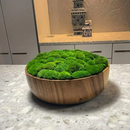 Miniatura 3 de Cojín Almohada de Musgo de Poste Preservado Color Verde Natural Decorativo Verde Natural Real Kit de Bricolaje Terrarios Arte de Jardinería 2-verde
