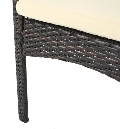 Miniatura 10 de Christopher Knight Home PE Wicker Dining Chairs Set of 2, Outdoor Patio Chairs with Removable Cushion, Poolside Dining Furniture, Aluminum Frame