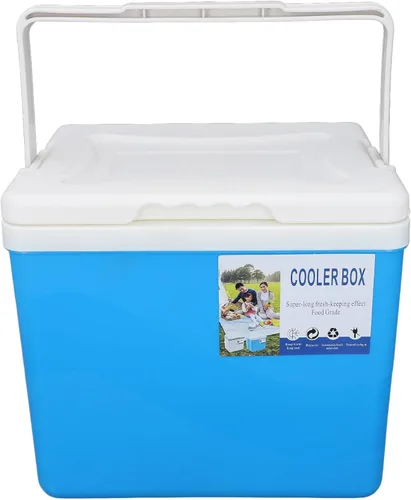 Enfriador portátil aislado, enfriador duro pequeño de 10 litros con asa, a prueba de fugas, lonchera aislada al aire libre para picnic, campamento,