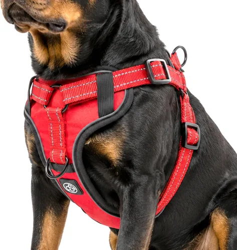 Miniatura 10 de Arnés de chaleco para perro sin tirones, nailon impermeable con forro suave y transpirable, pecho frontal reflectante, correa trasera ajustable